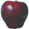Table Fruit v2 - Fruits 360 project thumbnail