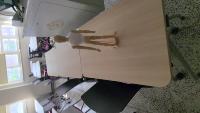 wooden_doll project thumbnail
