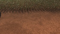 New_wheat_crop project thumbnail