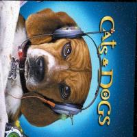 CatAndDogs project thumbnail