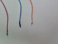 W Detection  project thumbnail