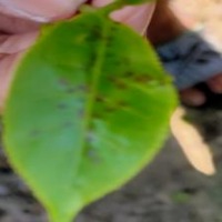 red-rust project thumbnail