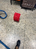 Dataset Image