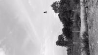 BW_Drone_Detection project thumbnail