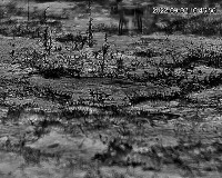 Thermal_drone_dataset project thumbnail
