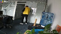 Dataset Image
