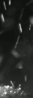 deposition-layer project thumbnail