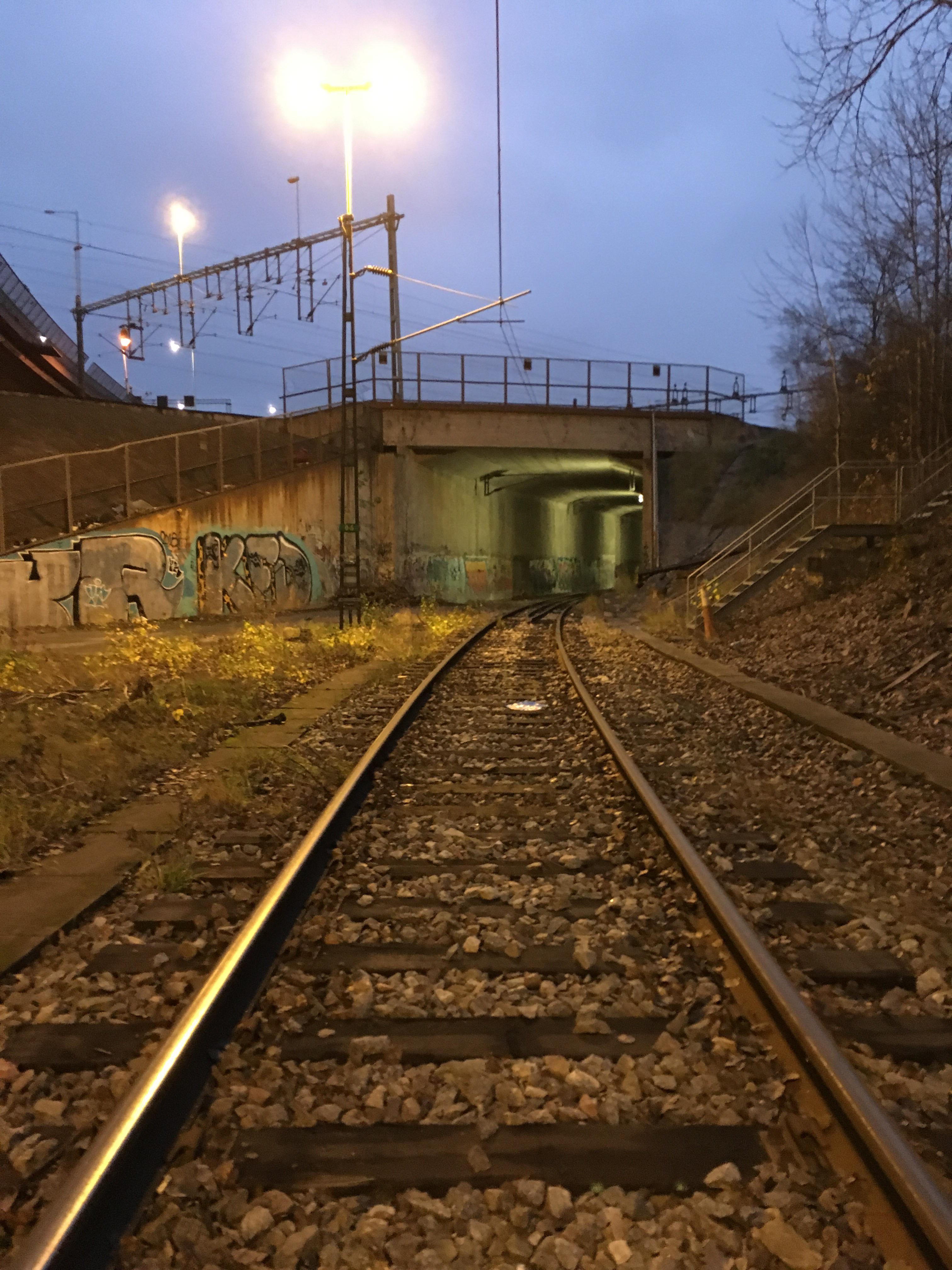 Train Object Detection Model by Tahani