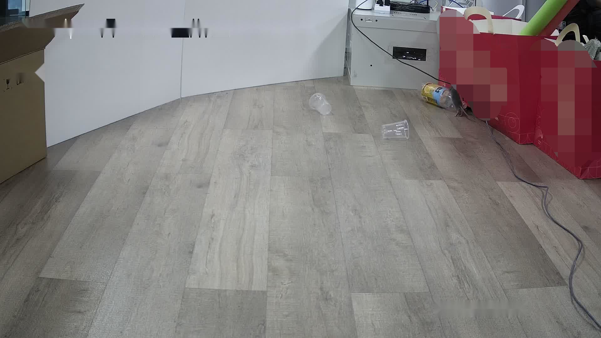 rat+detector Object Detection Model by UCS