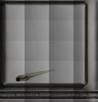 Isolation_echo project thumbnail