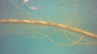 Pool Defects project thumbnail