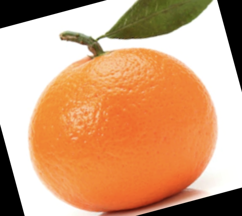 Orange Detection Classification Dataset by orange