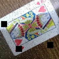Dataset Image