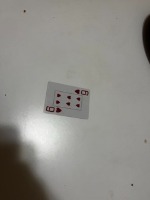 Dataset Image