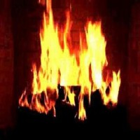 Fire-Smoke-Detection-Yolov11 project thumbnail