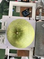 Pomelo-Grade project thumbnail