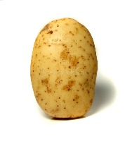 Potato project thumbnail
