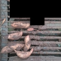 Sweet Potatoes project thumbnail