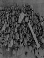 coal2.1 project thumbnail