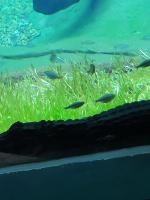 Bioparque1570 project thumbnail
