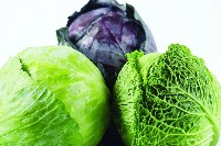 Vegetables Validation project thumbnail