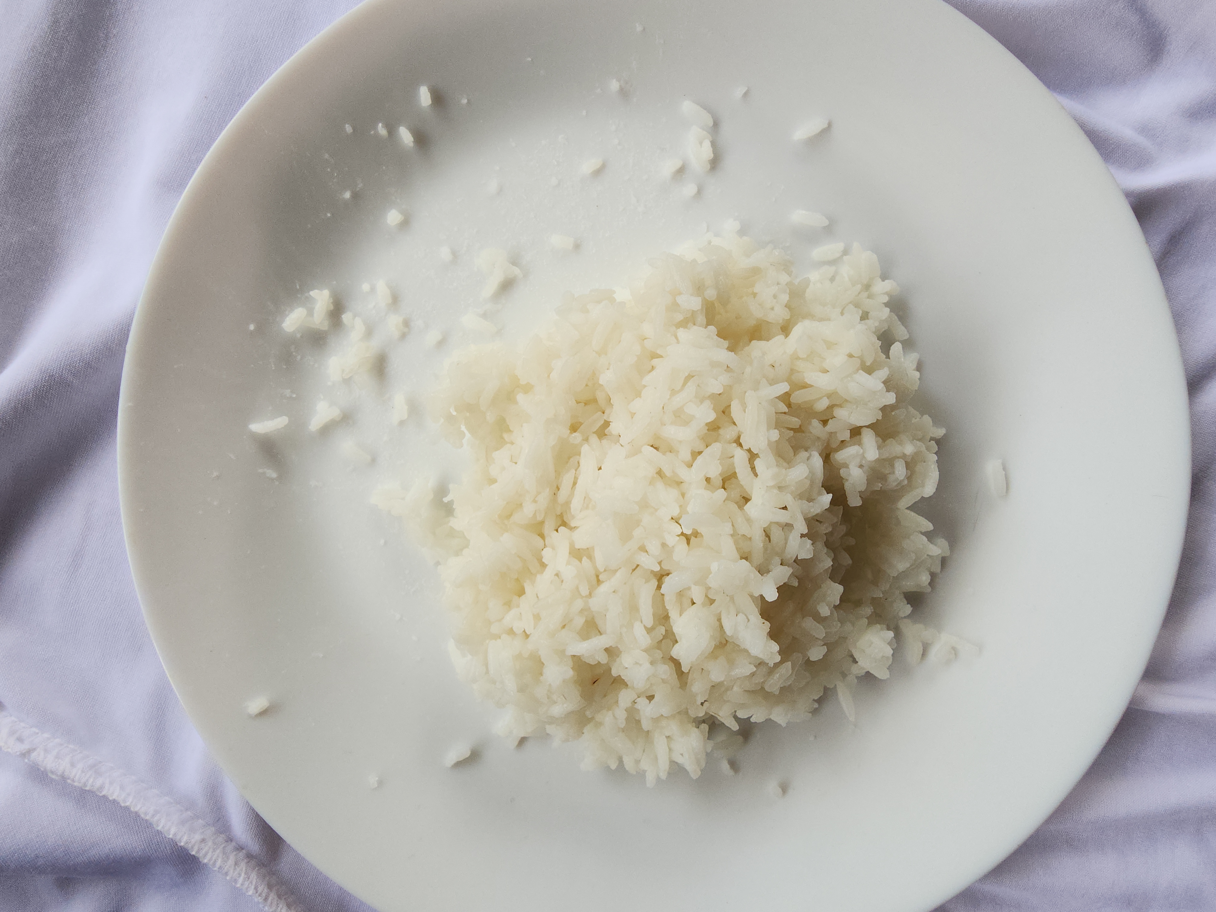 rice rice 2k Instance Segmentation Dataset by finalsss2221