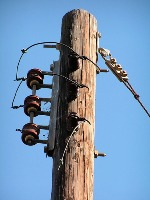 poles project thumbnail