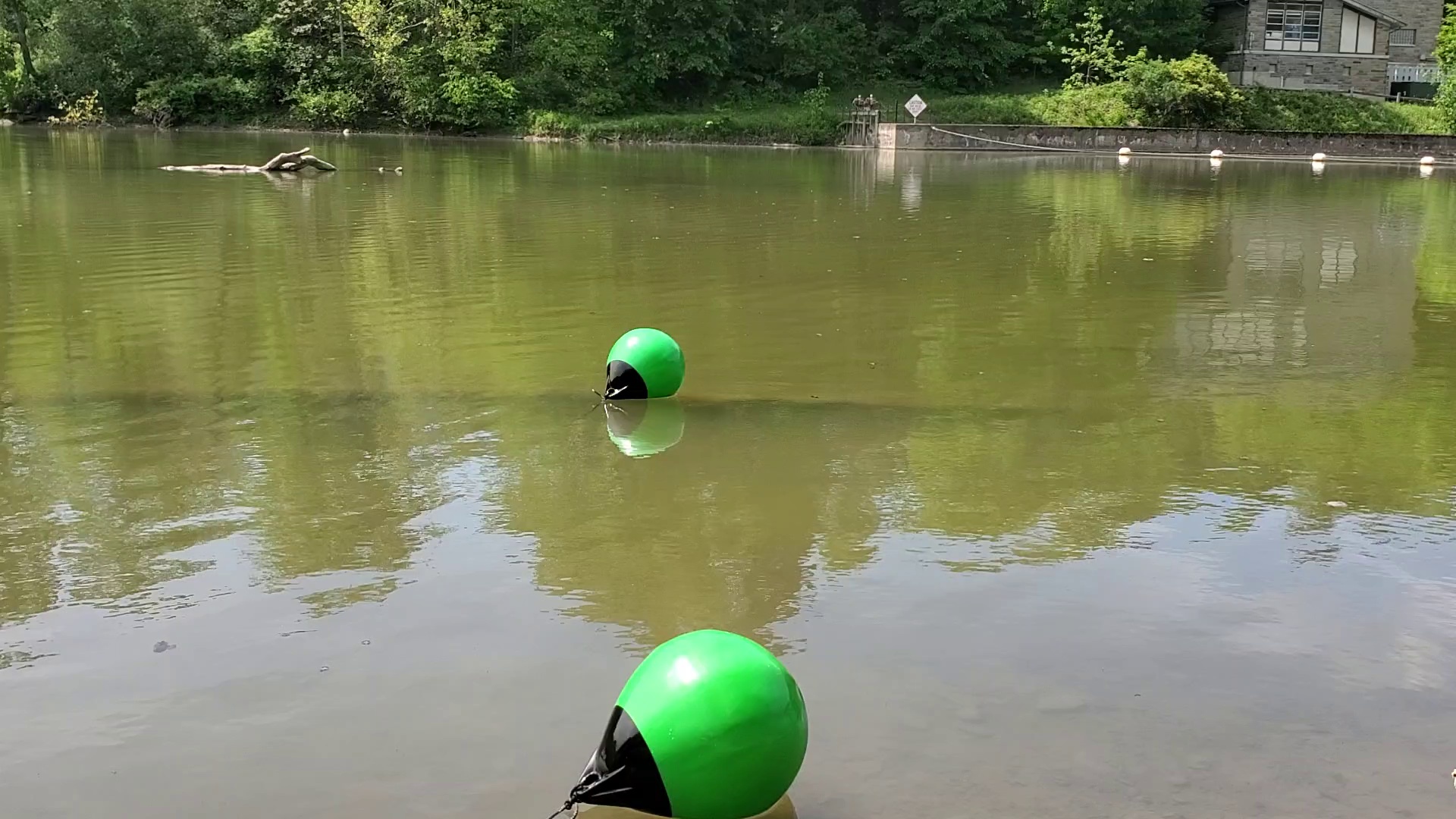 Buoys Object Detection Dataset by AutoBoat