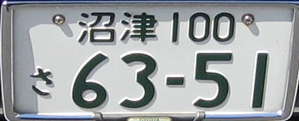 tag number meaning license plate