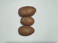 vegetable-recognition project thumbnail