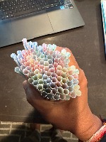 straw detenction project thumbnail