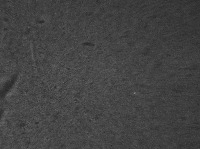 hk23_8_1sc1 project thumbnail
