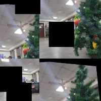 tree project thumbnail