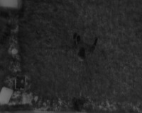 Human Detection project thumbnail