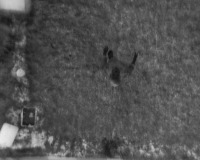 Person Detection project thumbnail