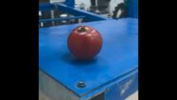 tomato-end project thumbnail