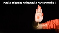 Kuchipudi Mudras project thumbnail