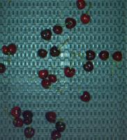 Red Cherry 2025/07 Double&Spurs project thumbnail