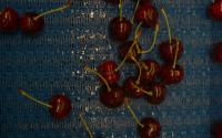 Red Cherry March, 2025 project thumbnail
