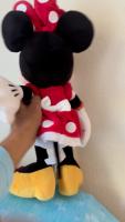 segment-pikachu-timon-minnie project thumbnail