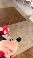 detect-pikachu-timon-minnie project thumbnail