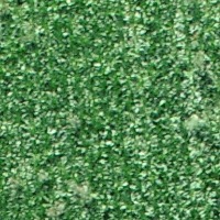 weed detect project thumbnail