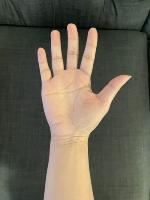 Palm Line Detection project thumbnail