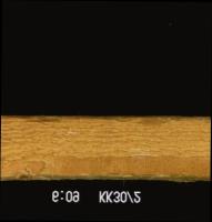Wood Defect Detection Dataset project thumbnail