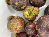 MangoSteen project thumbnail