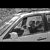 Vehicle Detection project thumbnail