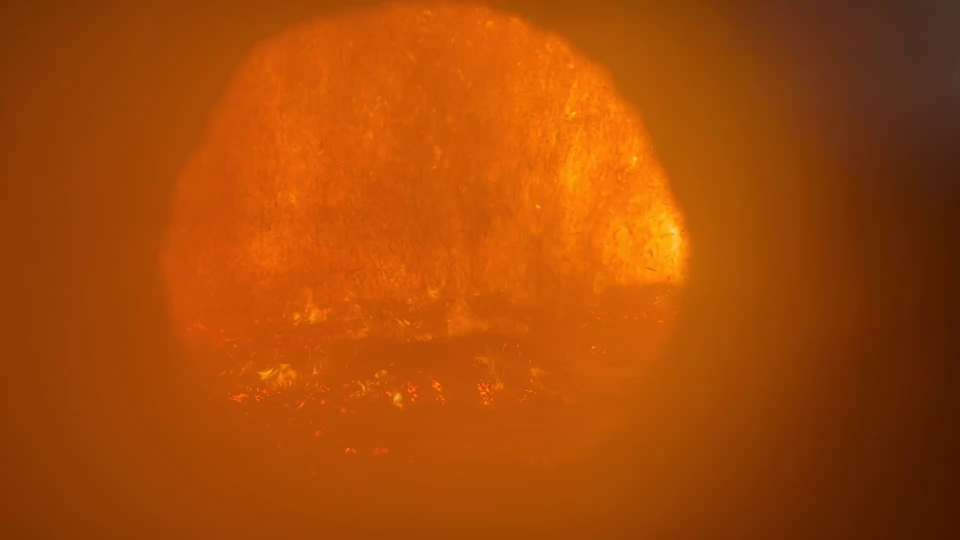 BIOPOWER - Roboflow Universe