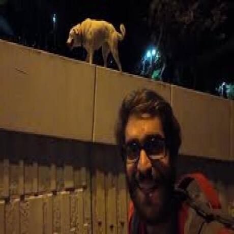 Dog Object Detection Dataset by test1