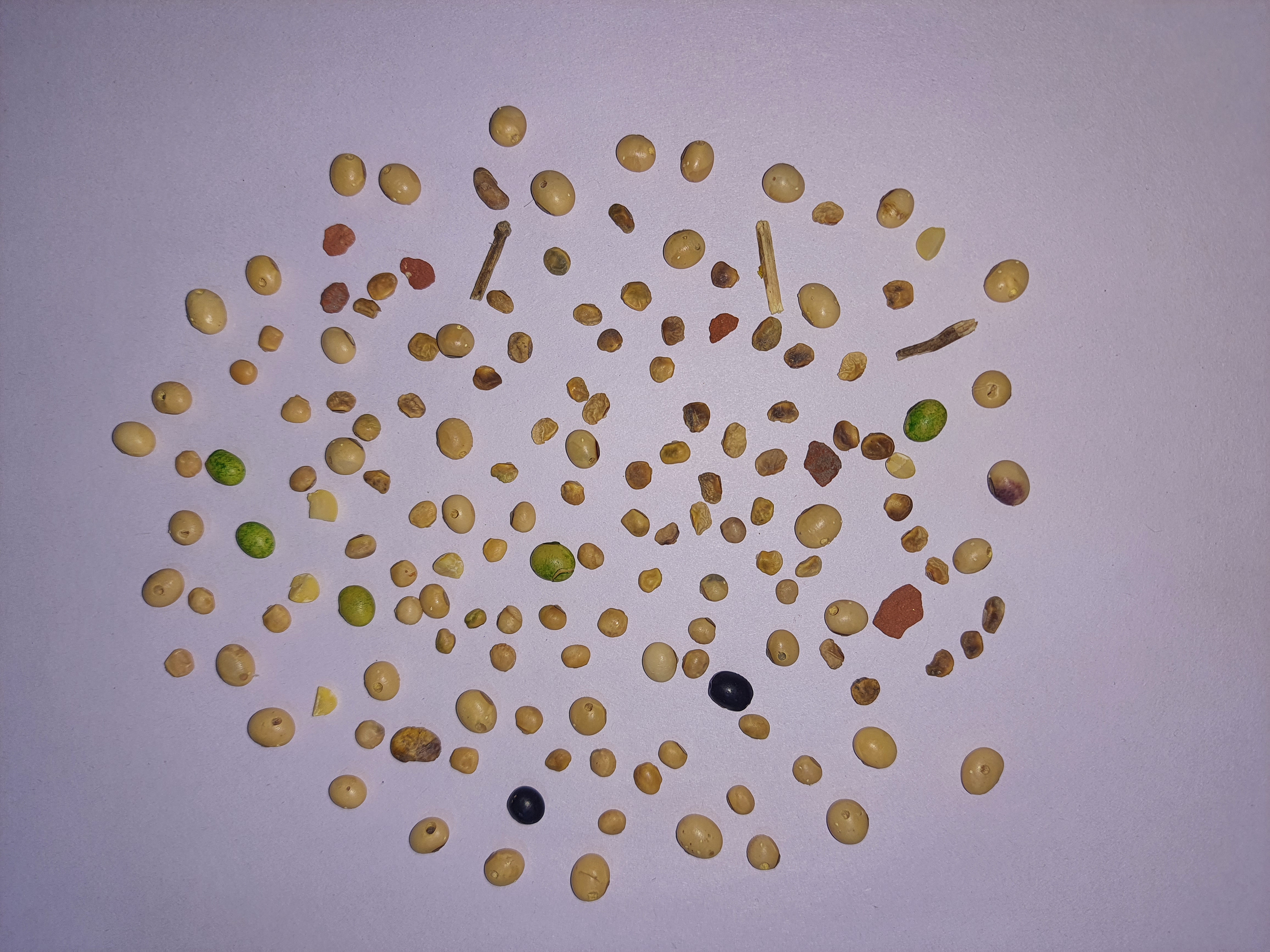 Test Object Detection Dataset by SOYABEEN
