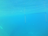 AUV Dataset project thumbnail